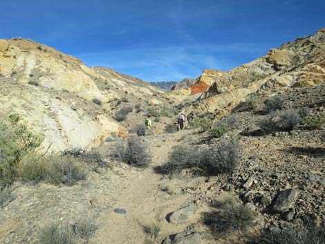 Doodlebug Arch