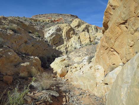 Doodlebug Arch