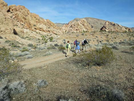 Doodlebug Arch