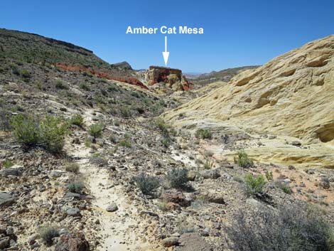 Amber Cat Canyon