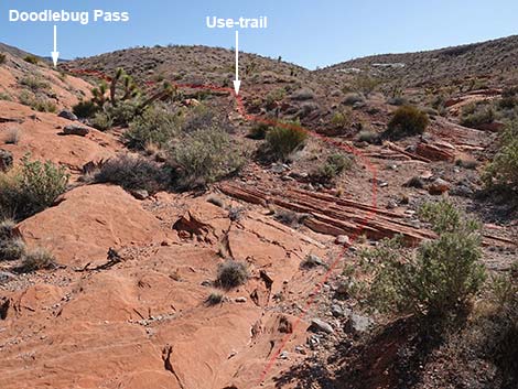 Doodlebug Arch Loop