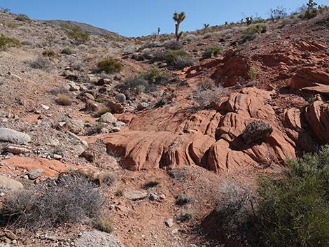 Doodlebug Arch Loop