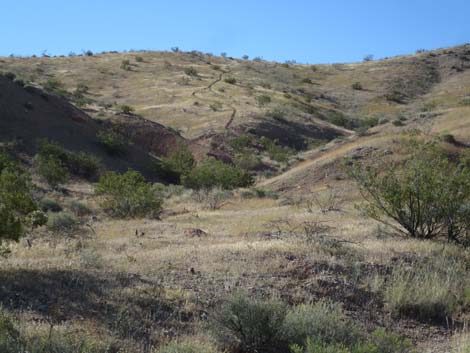 Bauer Mine