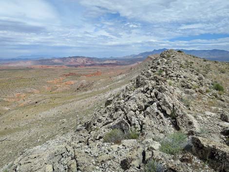 Bauer Mine