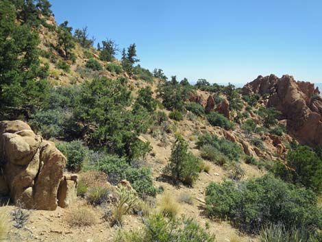 Billy Goat Peak