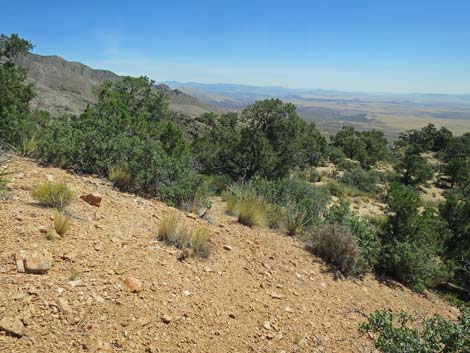 Billy Goat Peak