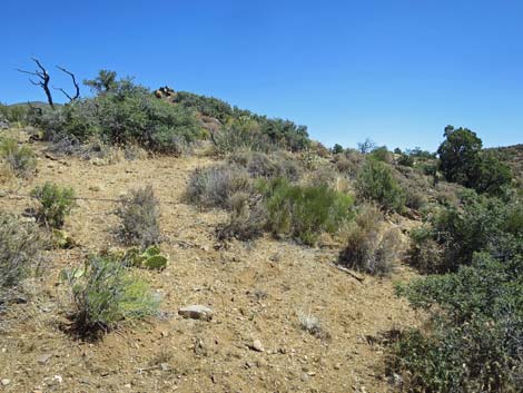 Billy Goat Peak