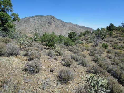 Billy Goat Peak