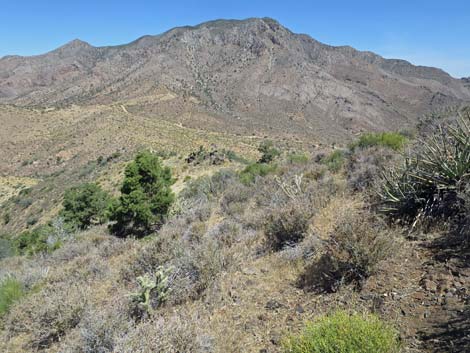 Billy Goat Peak