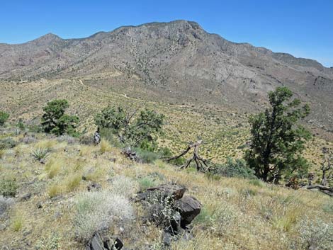 Billy Goat Peak