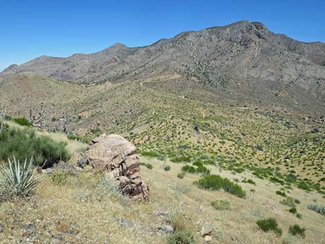 Billy Goat Peak