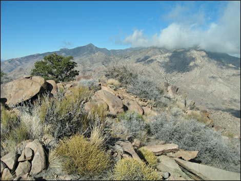 Billy Goat Peak