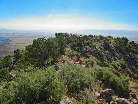 Billy Goat Peak