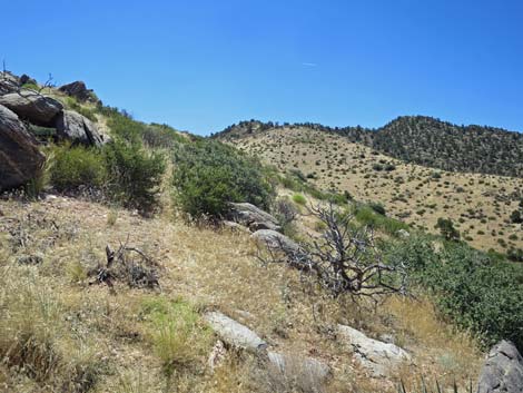 Billy Goat Peak