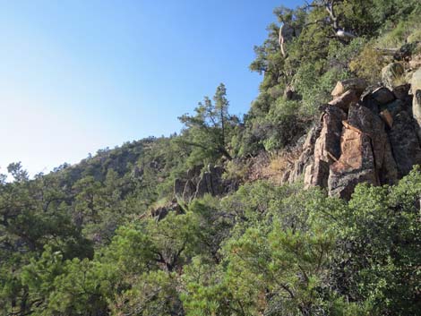 Billy Goat Peak