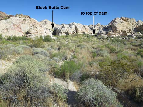 Black Butte Dam Loop