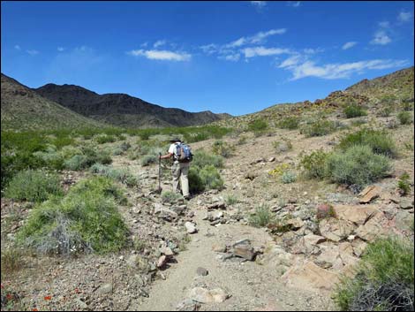 Black Ridge Mine