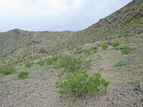 Black Ridge Mine