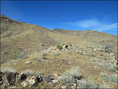 Bonelli Peak