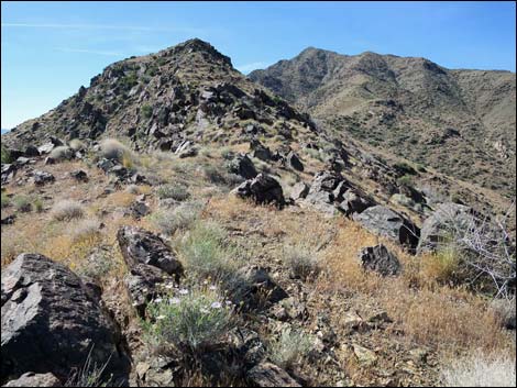 Bonelli Peak