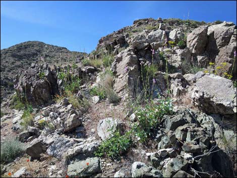 Bonelli Peak