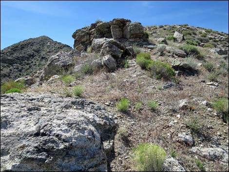 Bonelli Peak