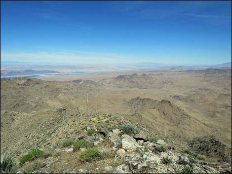 Bonelli Peak