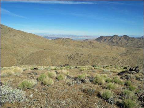 Bonelli Peak