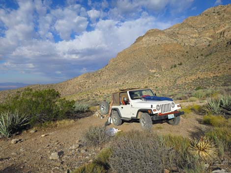 Cabin Spring Canyon Campsite