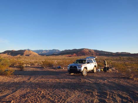 Mud Hills Campsite #2