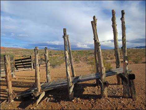 Mud Hills Corral Campsite