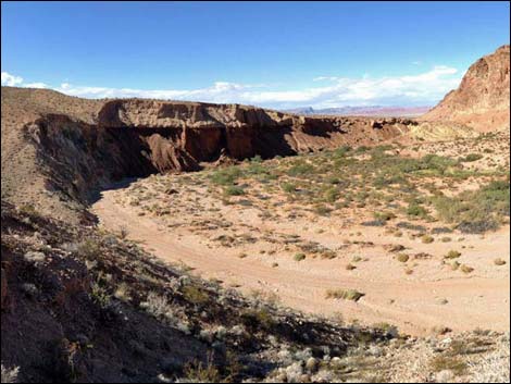 Red Bluff Spring Overlook Campsite