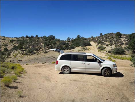 Whitney Pass Road Campsites