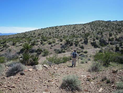 Cobalt Mine