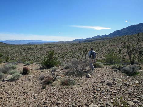 Cobalt Mine