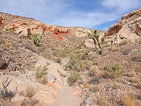 Doodlebug Arch