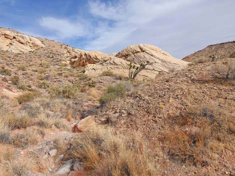 Doodlebug Arch