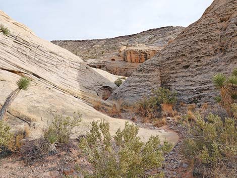 Doodlebug Arch