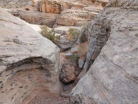 Doodlebug Arch