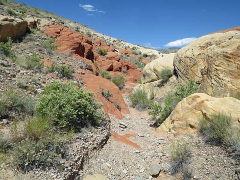 Doodlebug Arch