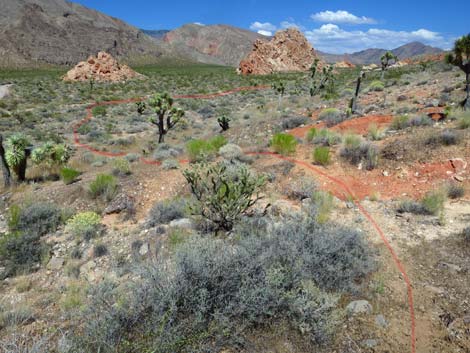 Doodlebug Arch