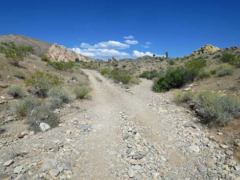 Doodlebug Arch