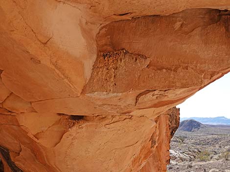 Doodlebug Arch