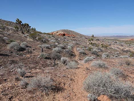 Doodlebug Canyon