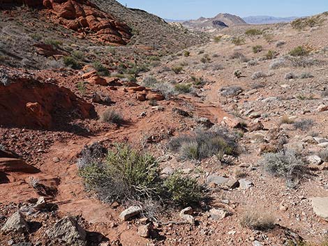 Doodlebug Canyon