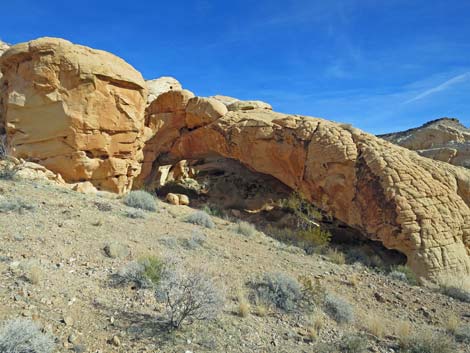 Doodlebug Arch