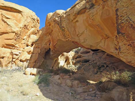 Doodlebug Arch