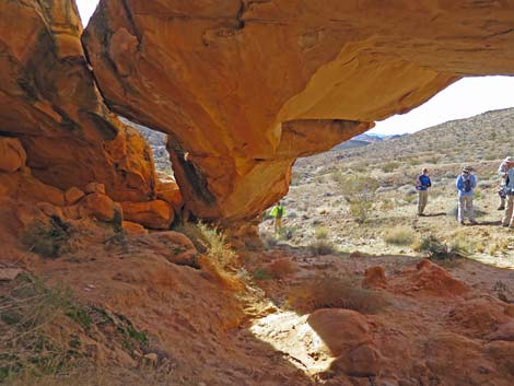 Doodlebug Arch