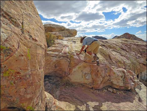 Falling Man Rock Art Site