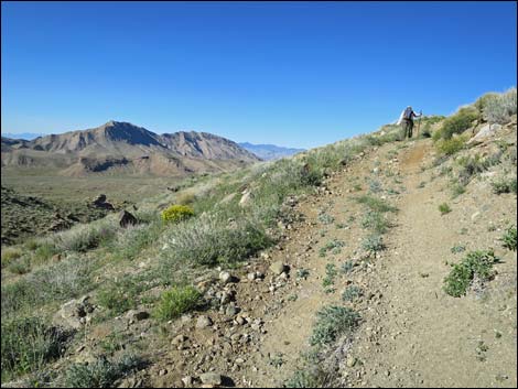 Gold Butte Peak